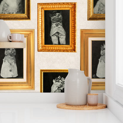 Cat Gallery Wall