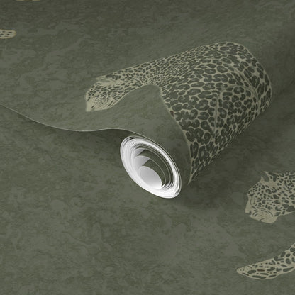Roll of Cheetah Tadelakt wallpaper in moss on a matching wallpaper background