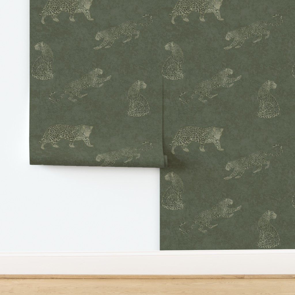 Cheetah Tadelakt wallpaper in moss rolled halfway down a wall.