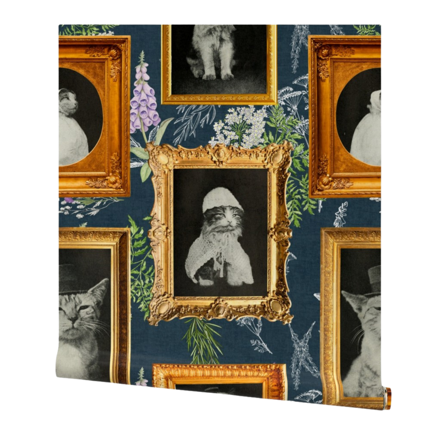 Cat Gallery Wall