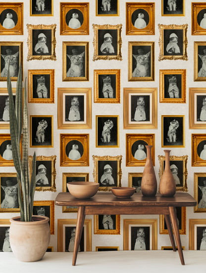 Cat Gallery Wall