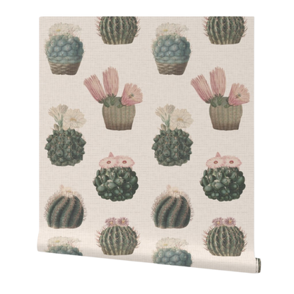partially rolled wallpaper with cactus pattern on a white background