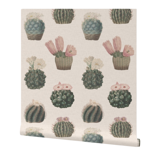 partially rolled wallpaper with cactus pattern on a white background