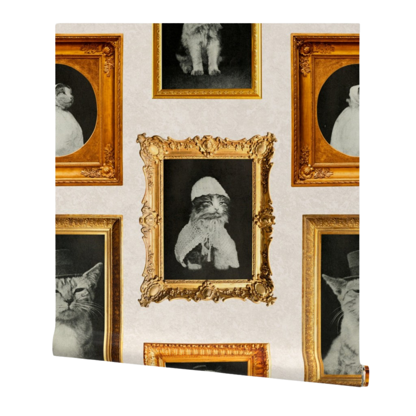 Cat Gallery Wall
