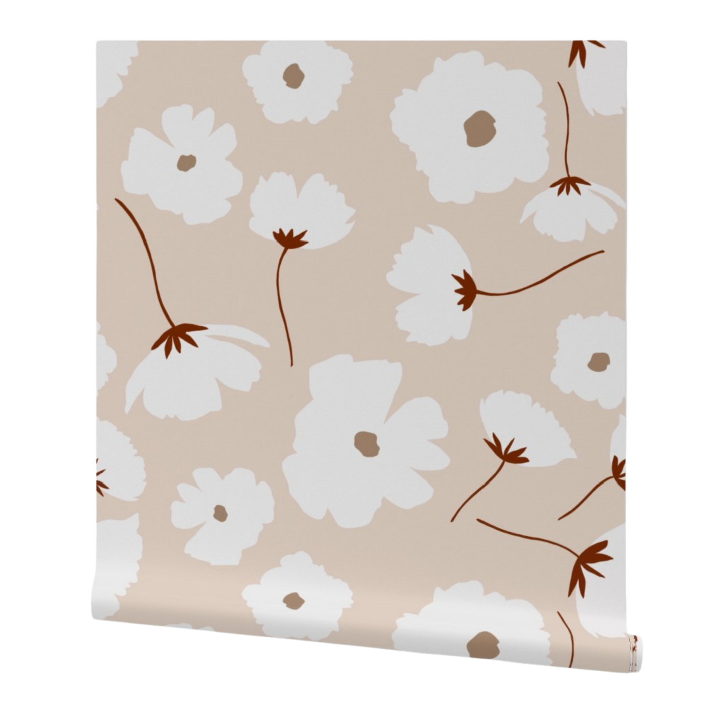 Organic Daisy