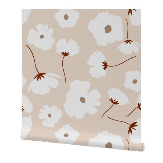 Organic Daisy