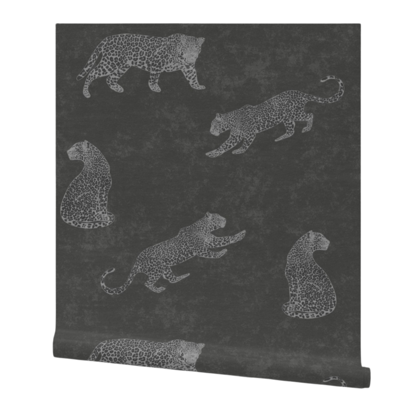 Moody cheetah wallpaper in grayscale with textured tadelakt background