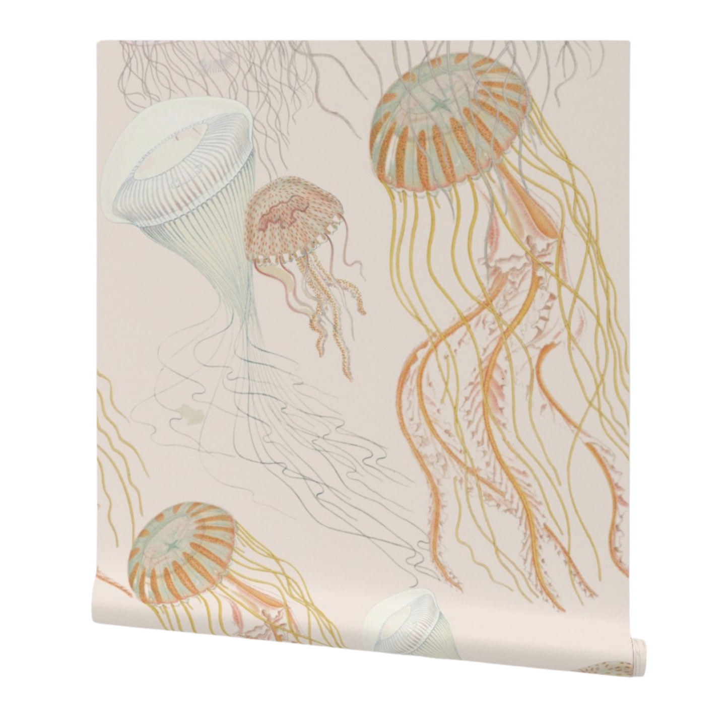 Vintage Jellyfish