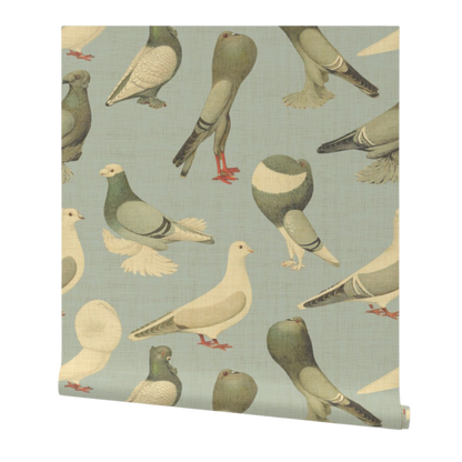 Pigeons on Parade