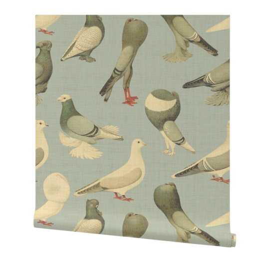 Pigeons on Parade